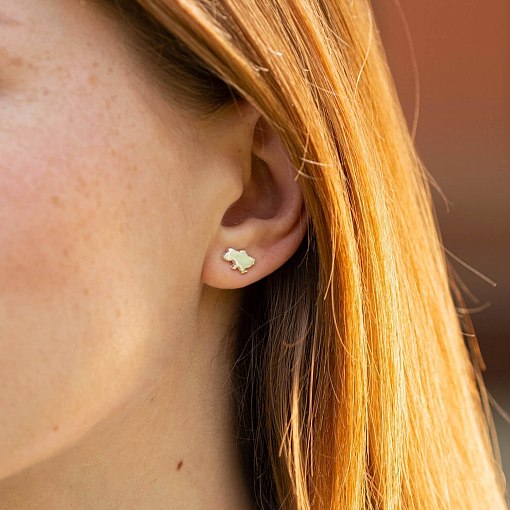 Серьги - пусеты "Карта Украины" в белом золоте с08012 3