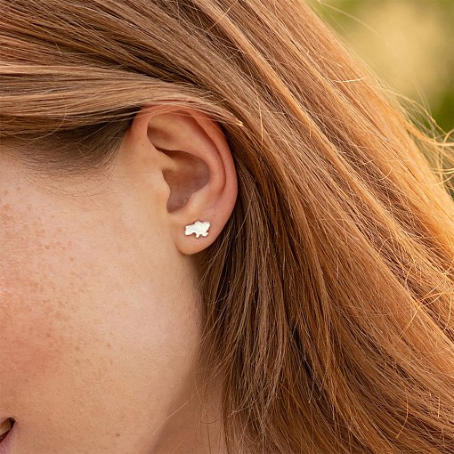 Серьги - пусеты "Карта Украины" в белом золоте с08012 11